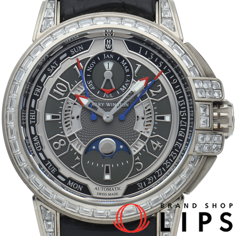 オーシャン バイレトログラード パーペチュアルカレンダー 42mm 20周年記念 世界限定20本